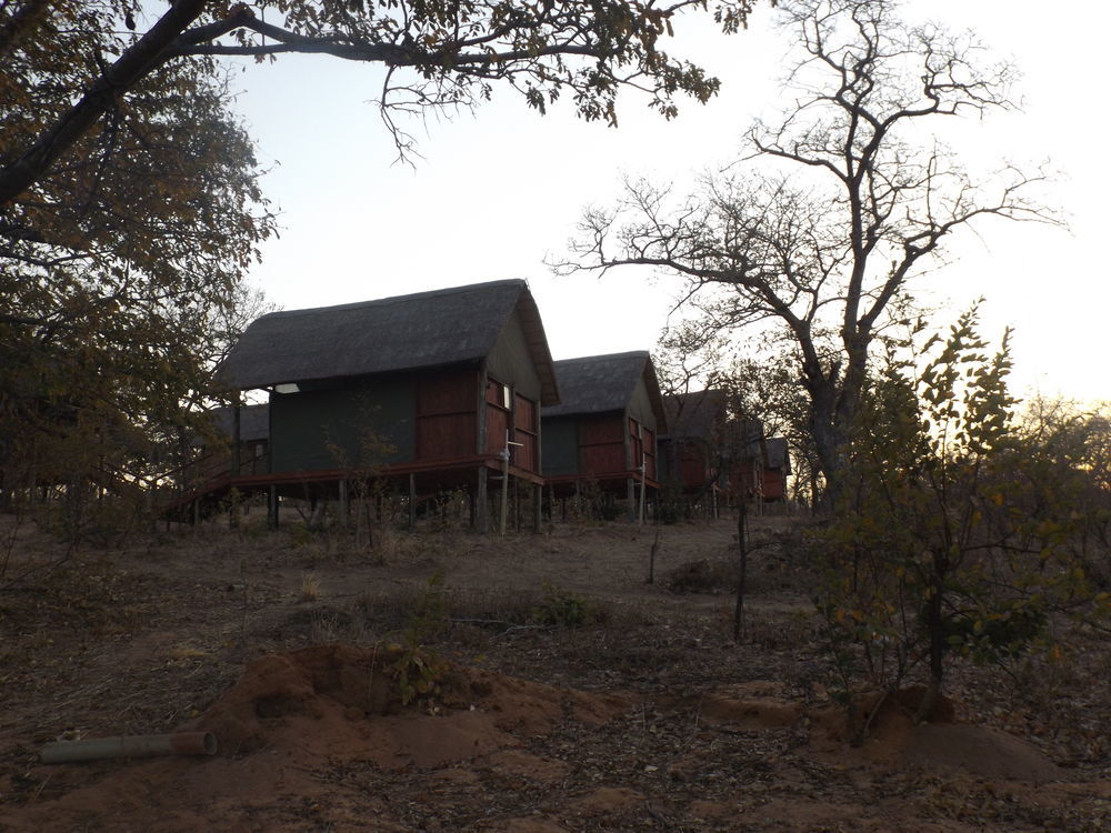 Lion Roars Lodge Lesoma Exterior foto