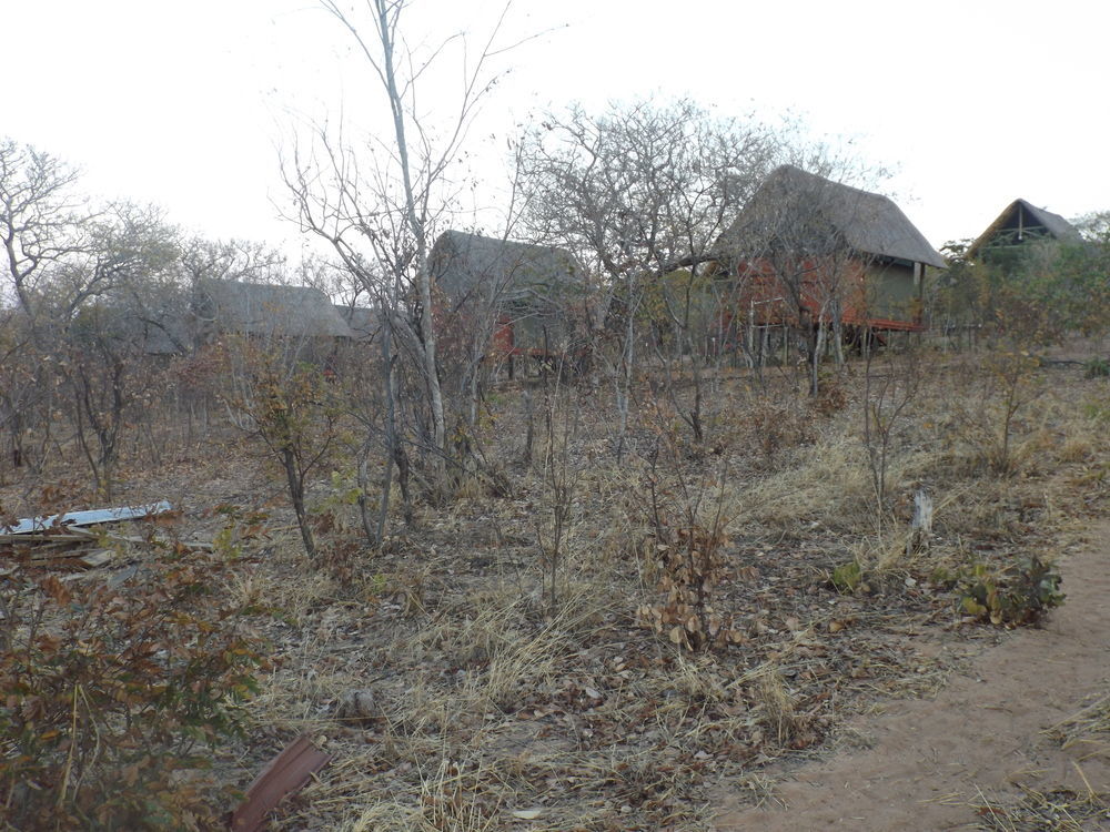 Lion Roars Lodge Lesoma Exterior foto