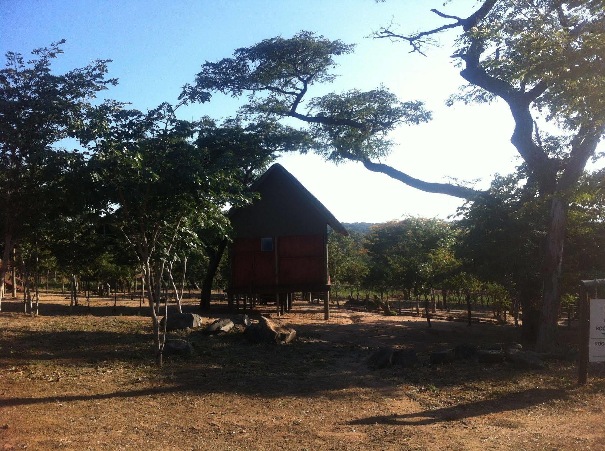 Lion Roars Lodge Lesoma Exterior foto