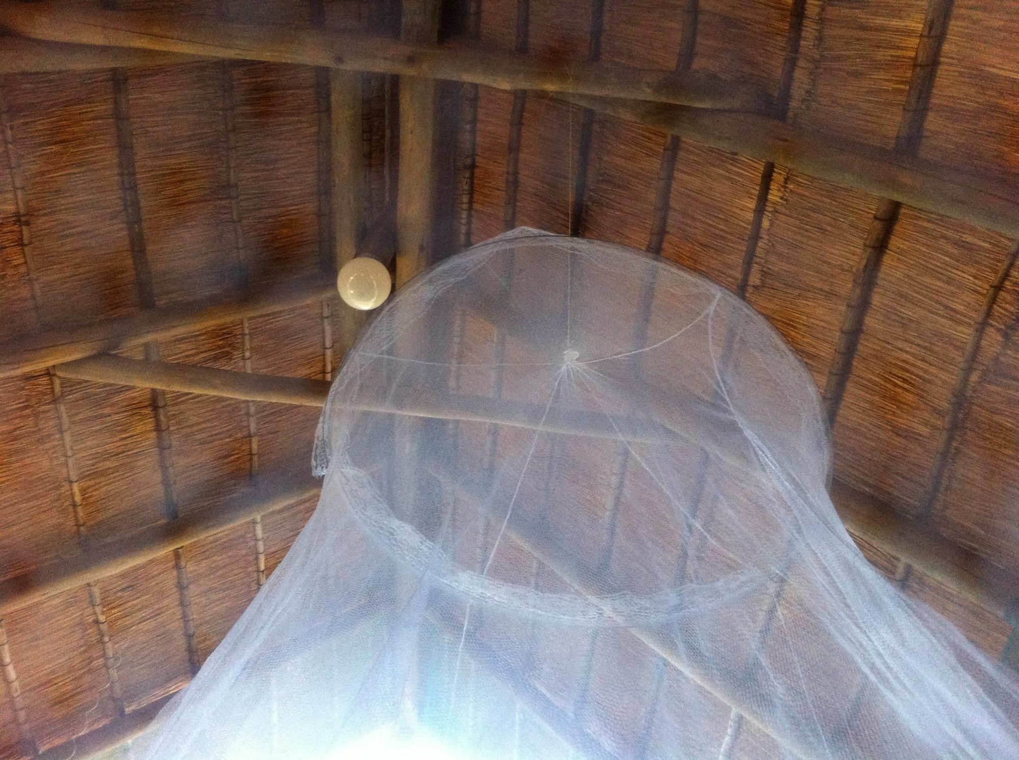 Lion Roars Lodge Lesoma Exterior foto